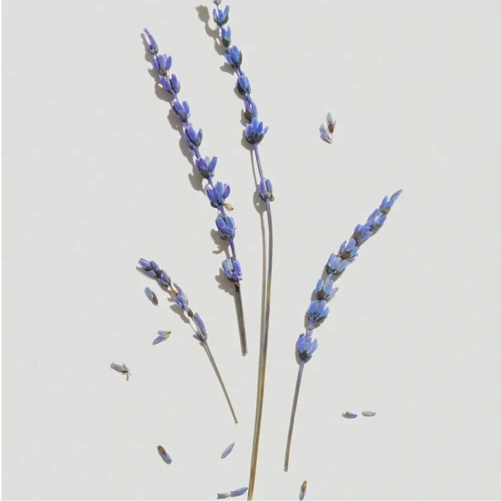 Clean Deo Stick — Soft Lavender - Picture 3 of 7